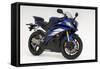 2007 Yamaha YZF-R6R-null-Framed Stretched Canvas