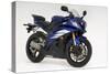 2007 Yamaha YZF-R6R-null-Stretched Canvas
