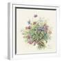 2008 August Bouquet-Janneke Brinkman-Salentijn-Framed Giclee Print