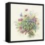 2008 August Bouquet-Janneke Brinkman-Salentijn-Framed Stretched Canvas