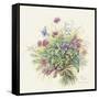 2008 August Bouquet-Janneke Brinkman-Salentijn-Framed Stretched Canvas