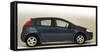 2008 Fiat Punto-null-Framed Stretched Canvas