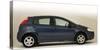 2008 Fiat Punto-null-Stretched Canvas