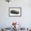 2008 Kia Sorento-null-Framed Photographic Print displayed on a wall