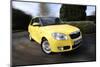 2008 Skoda Fabia 2-null-Mounted Photographic Print