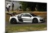 2009 Audi R8 LMS at 2009 Goodwood Festival of speed-null-Mounted Photographic Print