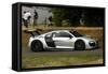 2009 Audi R8 LMS at 2009 Goodwood Festival of speed-null-Framed Stretched Canvas
