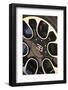 2009 Bugatti Veyron Sang Bleu-null-Framed Photographic Print