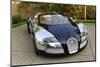 2009 Bugatti Veyron Sang Bleu-null-Mounted Photographic Print