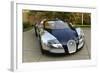 2009 Bugatti Veyron Sang Bleu-null-Framed Photographic Print