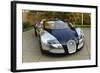 2009 Bugatti Veyron Sang Bleu-null-Framed Photographic Print