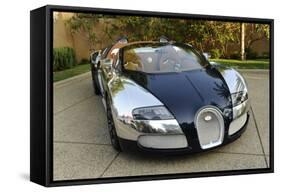 2009 Bugatti Veyron Sang Bleu-null-Framed Stretched Canvas