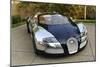 2009 Bugatti Veyron Sang Bleu-null-Mounted Photographic Print