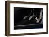 2009 Citroen C3 Picasso-null-Framed Photographic Print