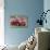 2009 Mazda 3 2.2D Sport-null-Photographic Print displayed on a wall