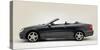 2009 Mercedes Benz CLK Cabriolet-null-Stretched Canvas