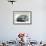2009 VW Golf Mk6-null-Framed Photographic Print displayed on a wall