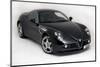 2010 Alfa Romeo 8C Competizione-null-Mounted Photographic Print