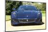 2010 Ferrari 599 GTO-null-Mounted Photographic Print