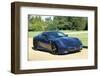 2010 Ferrari 599 GTO-null-Framed Photographic Print