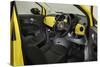 2010 Fiat 500-null-Stretched Canvas