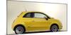 2010 Fiat 500-null-Mounted Photographic Print