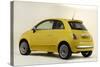 2010 Fiat 500-null-Stretched Canvas