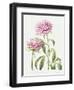 2010 July Bouquet-Janneke Brinkman-Salentijn-Framed Giclee Print