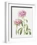 2010 July Bouquet-Janneke Brinkman-Salentijn-Framed Giclee Print