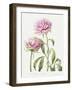 2010 July Bouquet-Janneke Brinkman-Salentijn-Framed Giclee Print