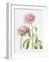 2010 July Bouquet-Janneke Brinkman-Salentijn-Framed Giclee Print