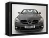 2010 Mercedes Benz SLK 200-null-Framed Stretched Canvas