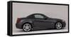 2010 Mercedes Benz SLK 200-null-Framed Stretched Canvas