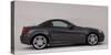 2010 Mercedes Benz SLK 200-null-Stretched Canvas