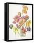 2010 Poppy Bouquet-Janneke Brinkman-Salentijn-Framed Stretched Canvas