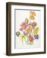 2010 Poppy Bouquet-Janneke Brinkman-Salentijn-Framed Giclee Print