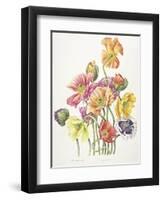 2010 Poppy Bouquet-Janneke Brinkman-Salentijn-Framed Giclee Print