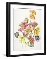 2010 Poppy Bouquet-Janneke Brinkman-Salentijn-Framed Giclee Print