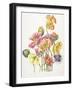 2010 Poppy Bouquet-Janneke Brinkman-Salentijn-Framed Giclee Print