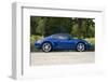 2010 Porsche Cayman-null-Framed Photographic Print