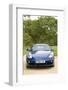 2010 Porsche Cayman-null-Framed Photographic Print