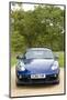 2010 Porsche Cayman-null-Mounted Photographic Print