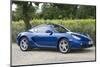 2010 Porsche Cayman-null-Mounted Photographic Print