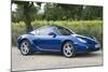 2010 Porsche Cayman-null-Mounted Photographic Print