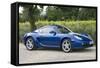 2010 Porsche Cayman-null-Framed Stretched Canvas