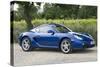 2010 Porsche Cayman-null-Stretched Canvas