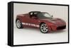 2010 Tesla Roadster-null-Framed Stretched Canvas