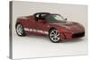 2010 Tesla Roadster-null-Stretched Canvas