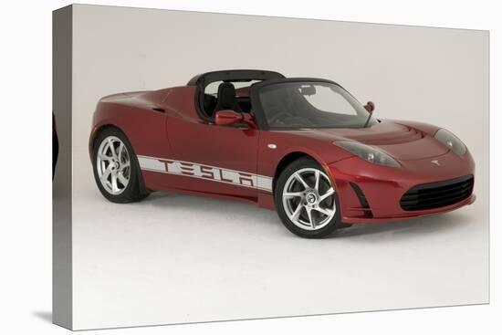 2010 Tesla Roadster-null-Stretched Canvas