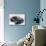 2011 Aston Martin V8 Vantage-null-Photographic Print displayed on a wall